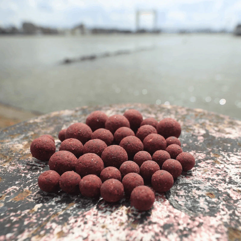 Spartan Boilies 5kg da Pasturazione e Innesco