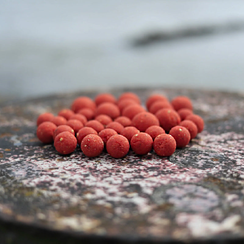 Berries Boilies 5kg Pasturazione e Innesco