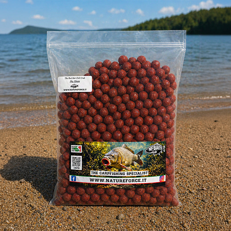 Boilies The Red Hot Chili Crab 5kg 20mm da Pasturazione e Innesco
